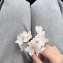 (주)담주조경