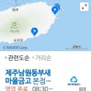서귀포동부새마을금고 이미지