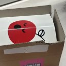 [우리아이연구소] 이거 신청 안 하면 진짜 손해 | 임신 초기 무료 축하박스 후기