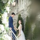 블루밍데이즈 이미지