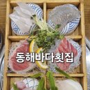 동해회바다 | 천안 두정동 맛집 동해바다횟집 모듬회 해물탕 세트 솔직후기