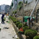 괴정4동-10 이미지