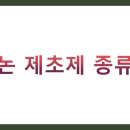 중부-현장-중부-2026 | 논 제초제 종류 TOP 12 완벽 정리 (시기별, 잡초별 맞춤 솔루션)
