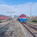 터미널토굴새우젓 이미지