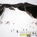 스타힐리조트