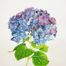 보테니컬 이미지