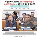 北김여정 입에서 '삶은 소대가리' 욕설 안 나와서 '로우 키(low key)'인가 이미지