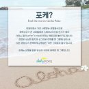 알로하 - 완주군 반교로 19 | 알로하