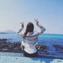 봉성소락 민박 | 부모님과 함께 가고싶은 제주도 숙소 *제주시*