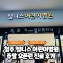 빛이나약국 | 청주 웰니스 어린이병원 주말 오픈런 진료 후기(+독감 판정, 검사비용,수액)