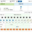 Re:내일 민주지산 벙개 날씨예보 이미지