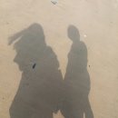 씨유 제주중문점 이미지