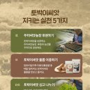 셋씨앗