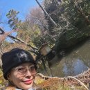 보아 - 안양시 만안구 태평로52번길 21 | 보아