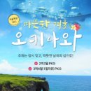 유유 카카오 검색결과