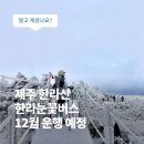 겨울철 한라산 산행정보 이미지