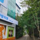 관저한사랑의원 이미지