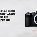 오버뎁스 | 소니 A7M4 vs 캐논 R6MK2 롱텀 실사용 비교 후기