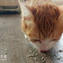 릴리호텔 이미지