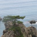 정자네 펜션 이미지