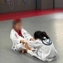 용인대하가태권도 네이버블로그