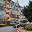 그린팜중앙약국 이미지