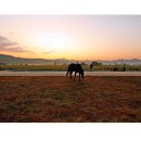 추억여행 이미지