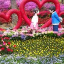 백세공원 이미지