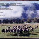 한국웰빙건강 이미지