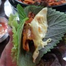 하늘날닭 이미지