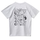 씨티에프 이미지