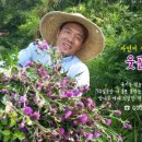 팜스토어