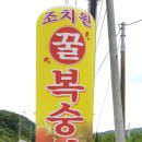 태우농장 이미지