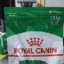 김천연합동물병원 이미지