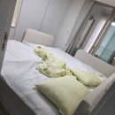 패밀리타운 | 내돈내산 패밀리침대(베드타운키즈) 구매 후기