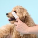 아이클린 이미지