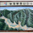 금영주유소 이미지