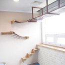 서울화곡4동우체국 이미지