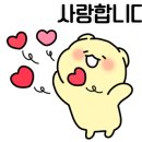 리치가플라워카페 네이버블로그