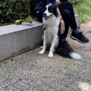 해태동물병원 이미지