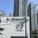사하동물병원 | 사하구 동물병원 김현태김동민동물의료센터에서 강아지 스케일링한 후기