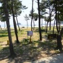 연포 주차장 이미지