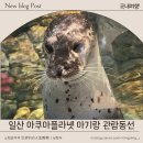 재주많은원숭이 | 일산 아쿠아플라넷 관람동선 총정리! 19개월 아기와 실내 나들이 후기