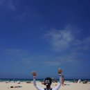 솔트스테인(Saltstain) 이미지