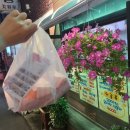 시엘토스트