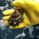 바다그리다 이미지