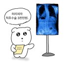 서여사곰탕 | 2025 상반기 결산