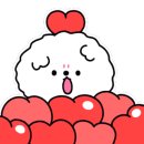 그루밍독스 이미지