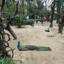 월드게임랜드 | 빈원더스 남호이안 방문후기