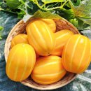 성주농장 | [과일 택배 배송 맛집] 고씨네 농장 성주 참외 집으로 바로 받는 방법